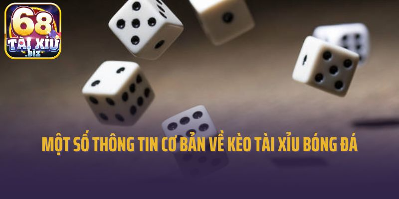 Một số thông tin cơ bản về kèo tài xỉu bóng đá