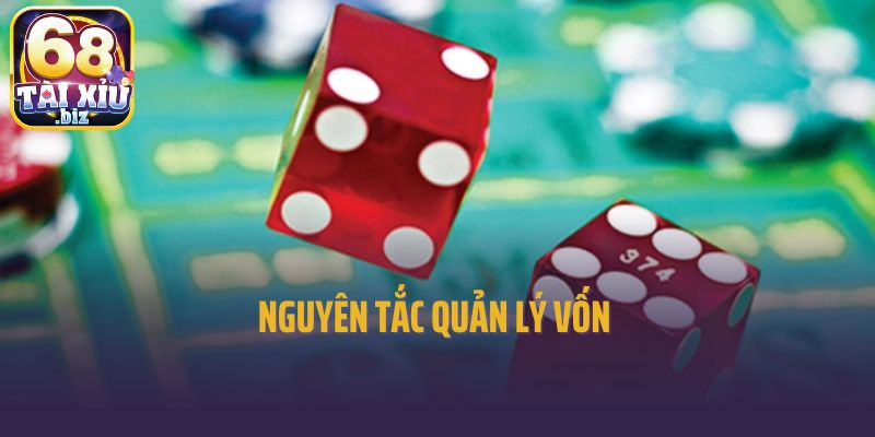 Nguyên tắc quản lý vốn